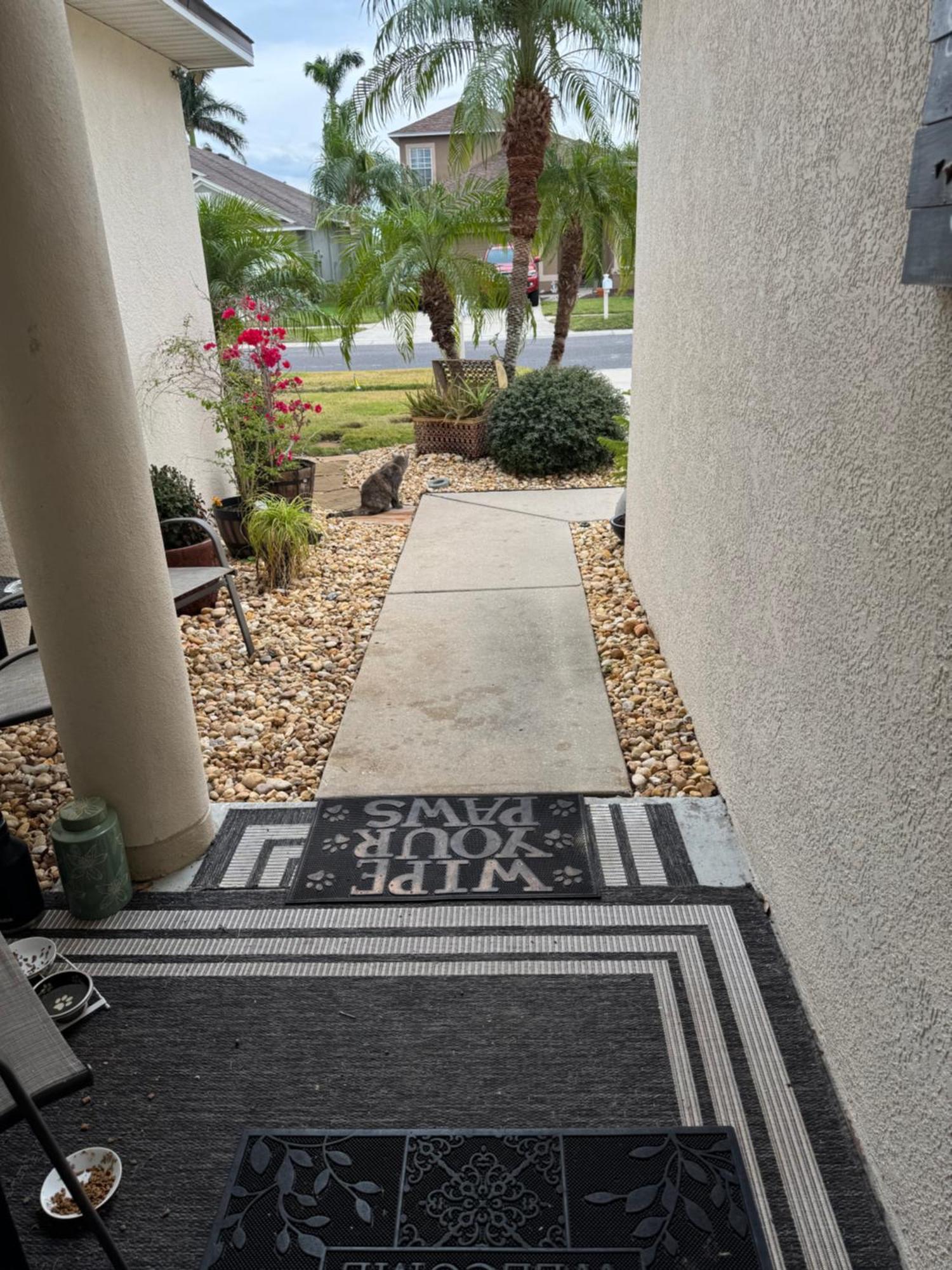 Ruskin Fl Private 2 Bdrm 1 Bath Suite Common Areas Shared With Host And Cat 外观 照片