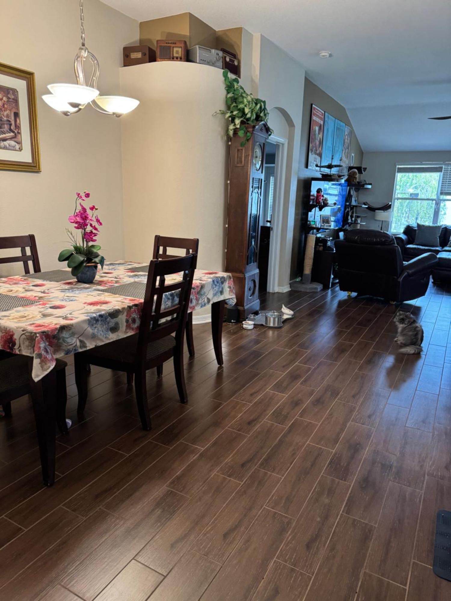 Ruskin Fl Private 2 Bdrm 1 Bath Suite Common Areas Shared With Host And Cat 外观 照片